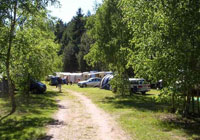 Campsite Büttelwoog - Dahn