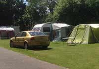 Camping Whitemead Caravan Park - Wool