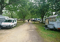 Aire Naturelle de camping Loriot - Biscarrosse
