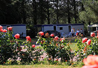 Camping Parc Sainte Brigitte - La Turballe