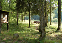 Camping Orée Forêt de la Reine - Mandres aux Quatre Tours