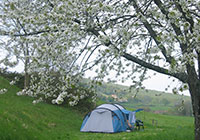 Campsite du Lac - Saint Point