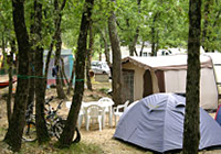 Campsite le Parc - Saint Paul en Forêt