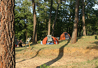 Camping la Pinède en Provence - Mondragon