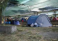 Camping Costa del Mito - Caprioli di Pisciotta