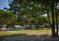 Campsite Village Mareblu - Cecina