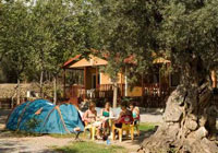 Campsite Orgiva - Alpujarra, La- Orgiva - Granada